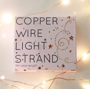 Copper Wire 30 String Lights